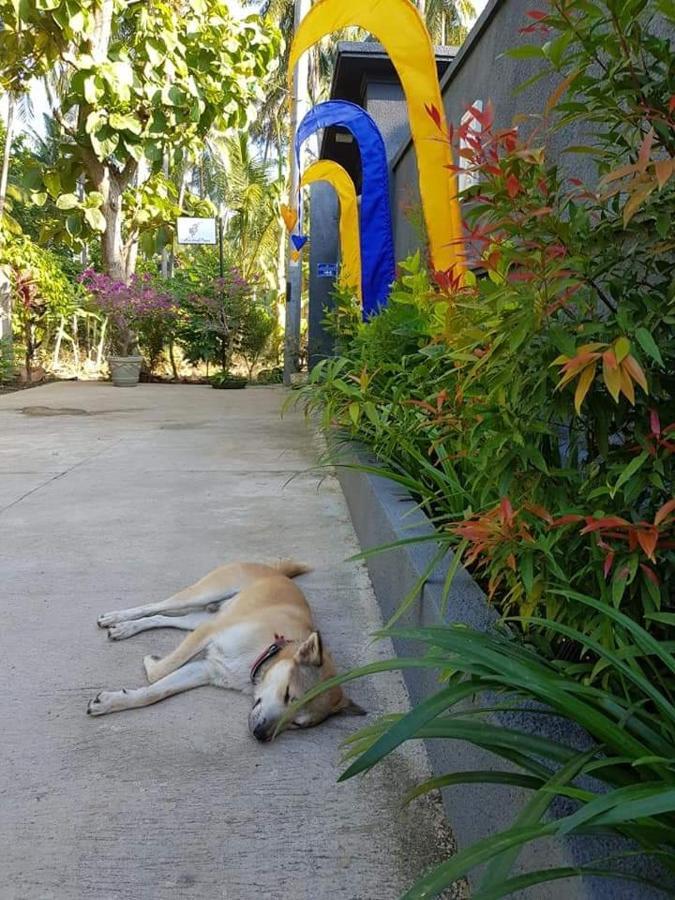 Mias Jungle House Hotel โลวินา ภายนอก รูปภาพ