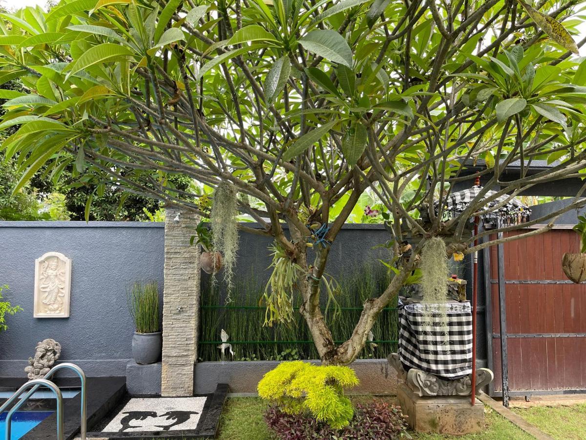 Mias Jungle House Hotel โลวินา ภายนอก รูปภาพ