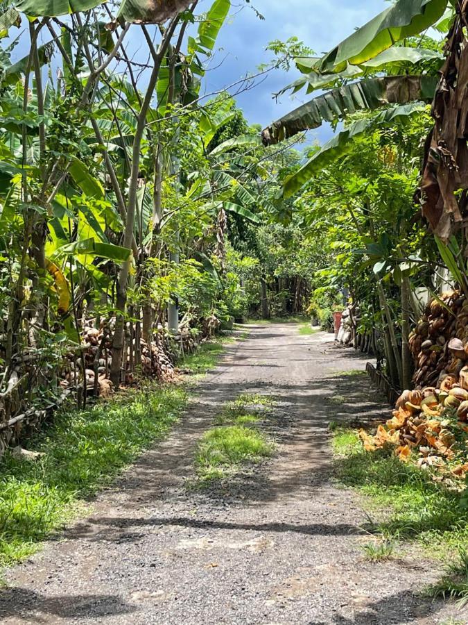 Mias Jungle House Hotel โลวินา ภายนอก รูปภาพ